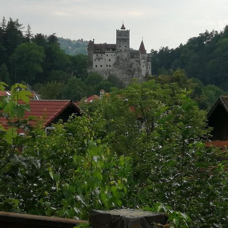 Pensiunea Transilvania Lodge Bran (Brasov) Exterior foto