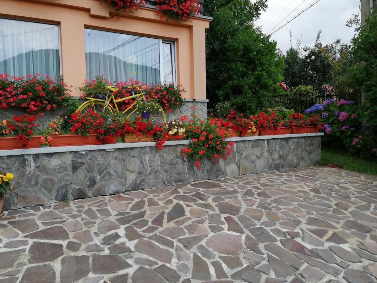 Pensiunea Transilvania Lodge Bran (Brasov) Exterior foto