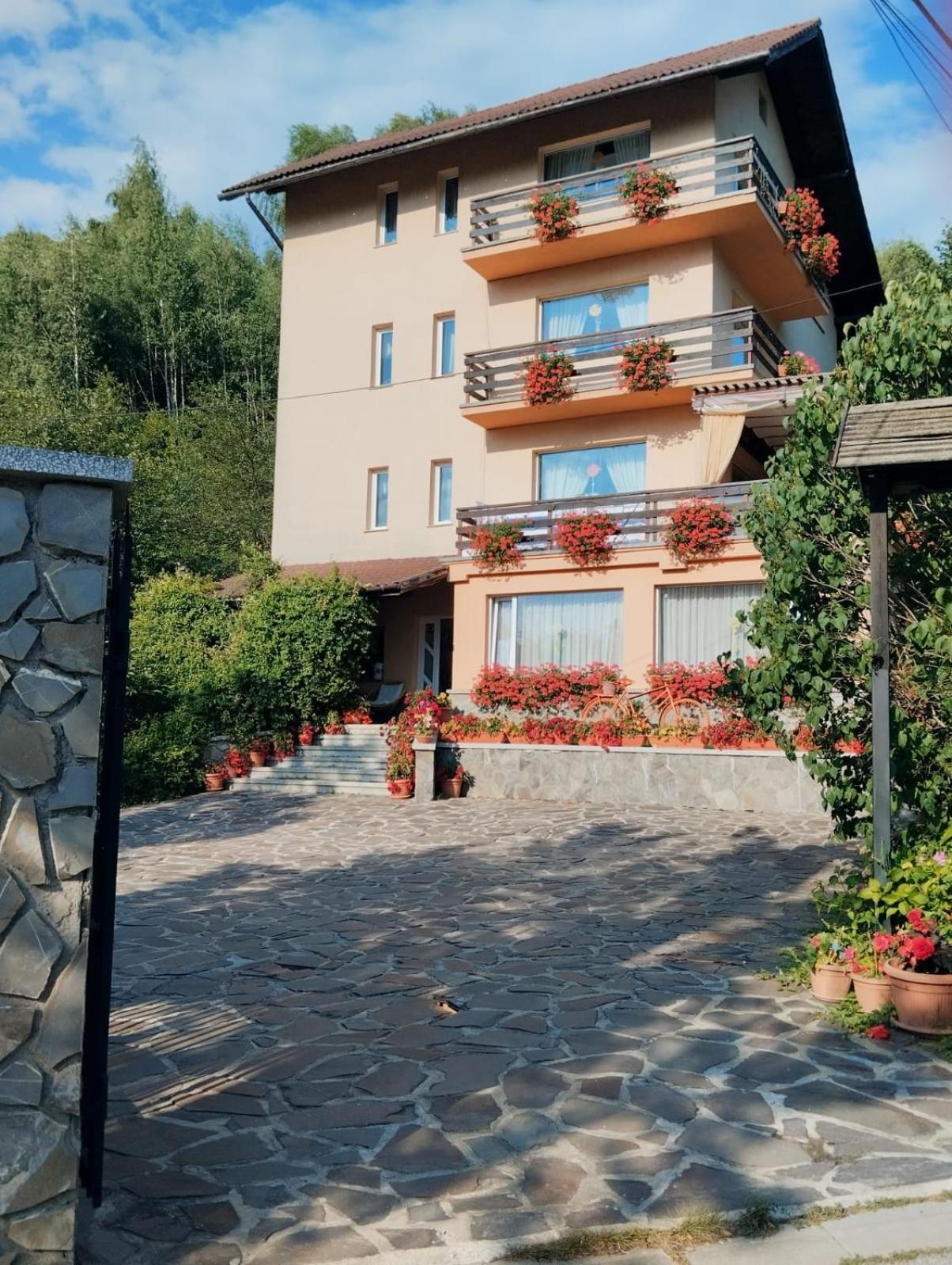 Pensiunea Transilvania Lodge Bran (Brasov) Exterior foto