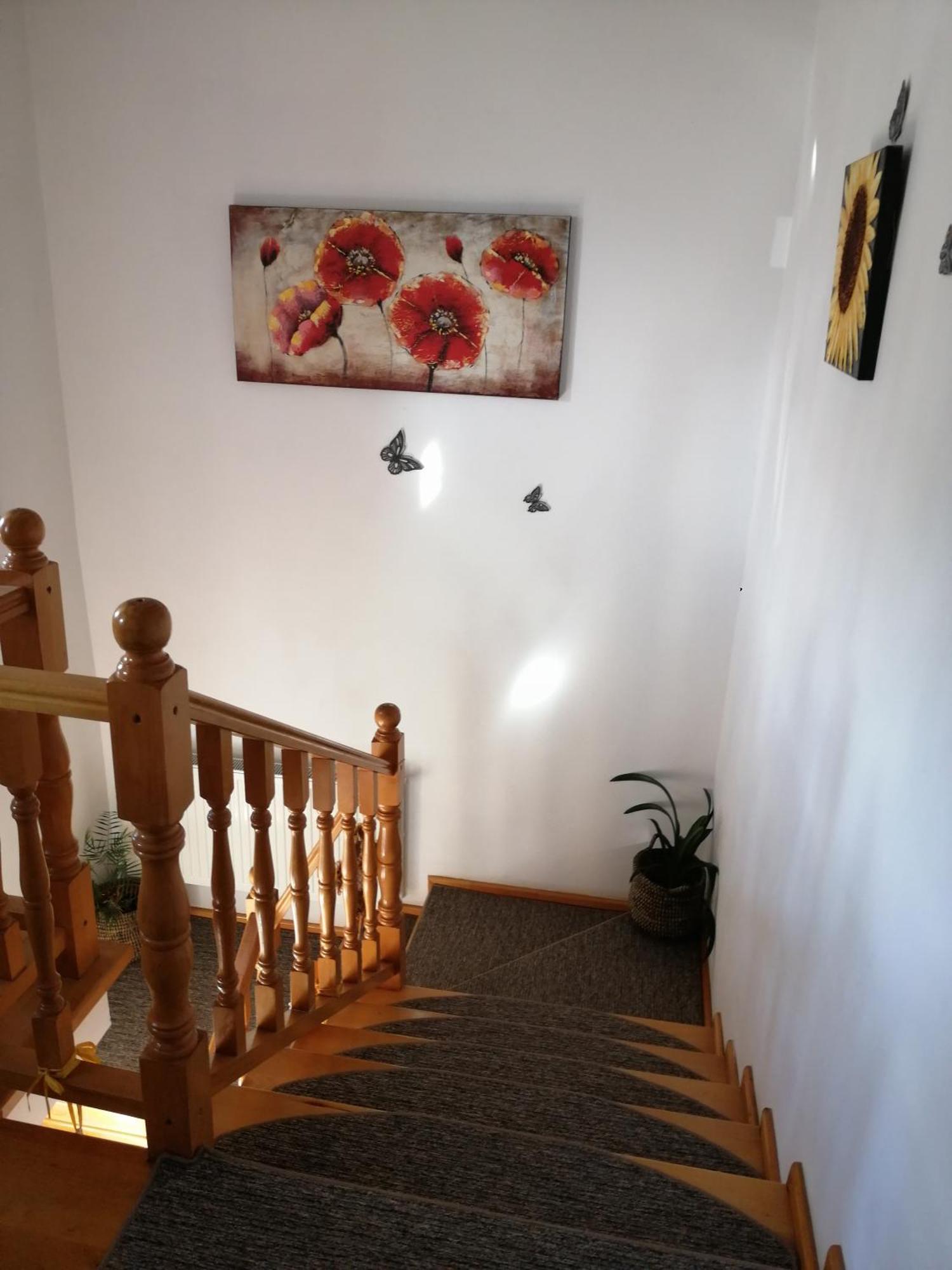 Pensiunea Transilvania Lodge Bran (Brasov) Exterior foto