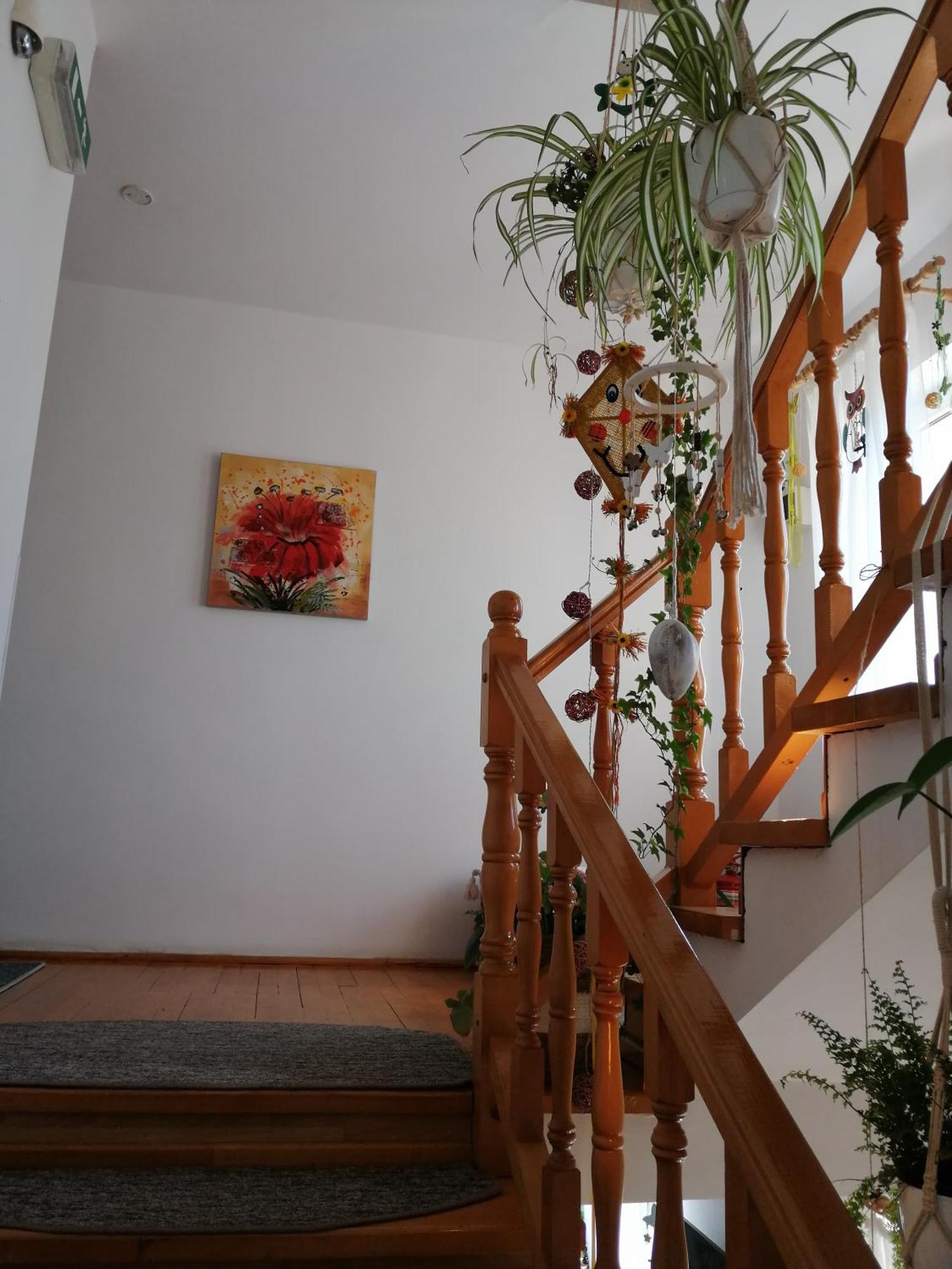 Pensiunea Transilvania Lodge Bran (Brasov) Exterior foto