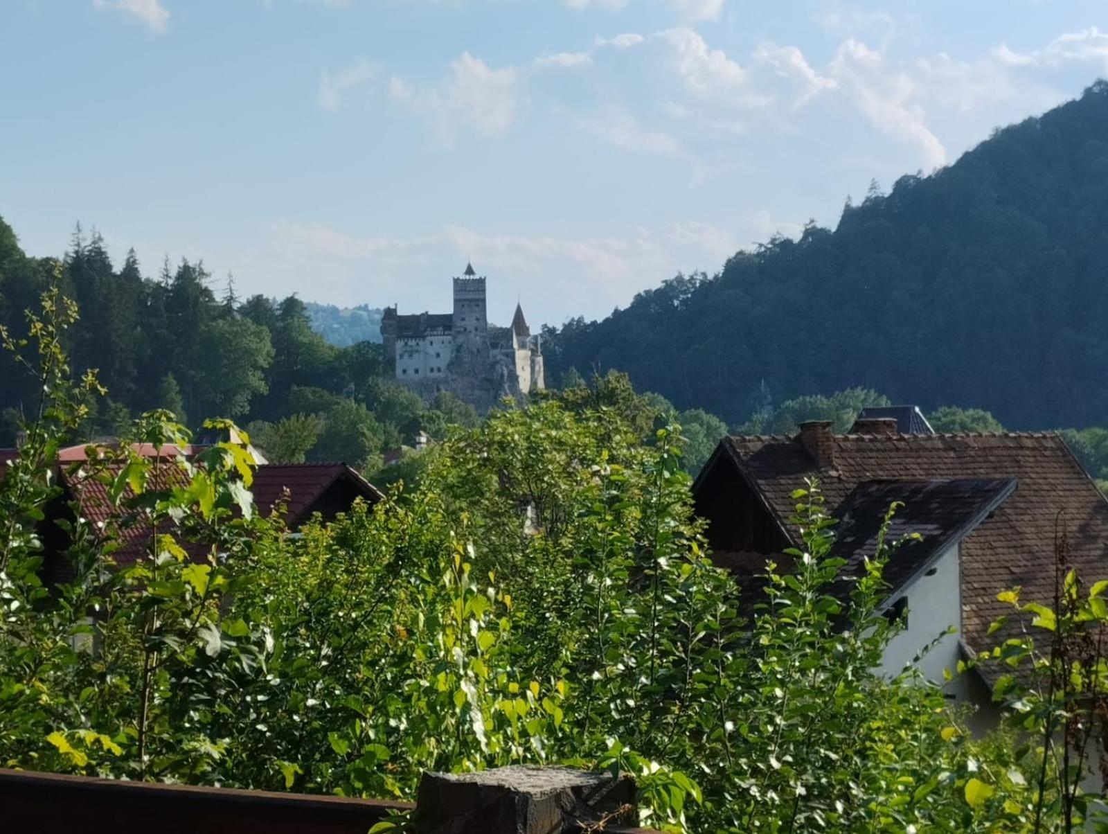 Pensiunea Transilvania Lodge Bran (Brasov) Exterior foto